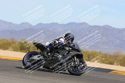 media/Mar-12-2023-SoCal Trackdays (Sun) [[d4c8249724]]/Turn 9 Side (1pm)/